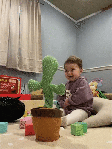 Dancing Shaking Cactus Toy