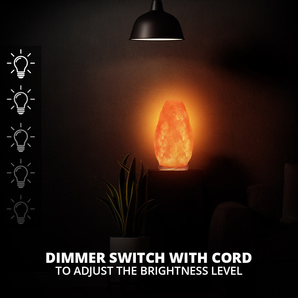 Natural Himalayan Salt Lamp